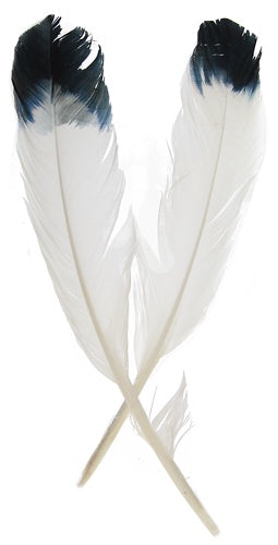FEA Sim. Eagle Feathers 6pk 4.25