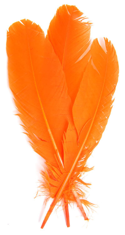 Buy orange FEA Turkey Quill 12 inch