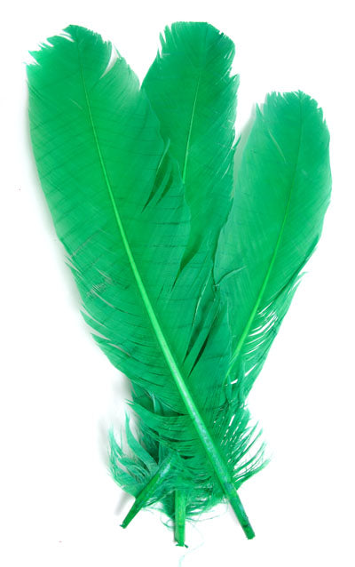 Buy green FEA Turkey Quill 12 inch