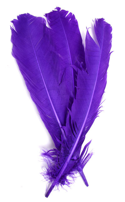 Buy purple FEA Turkey Quill 12 inch