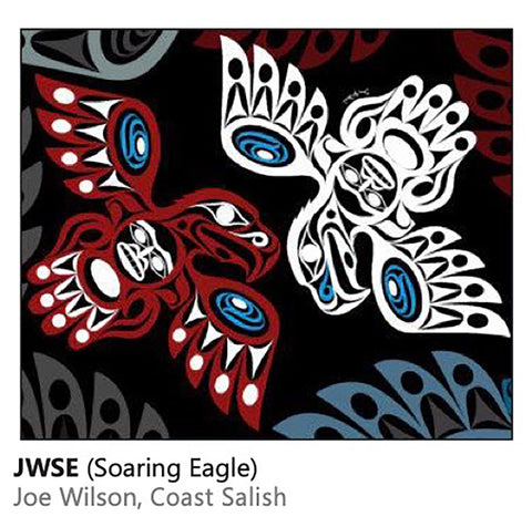 Buy jim-wilson-soaring-eagle Velour Throw Blanket