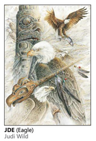 Judi Wild - Eagle