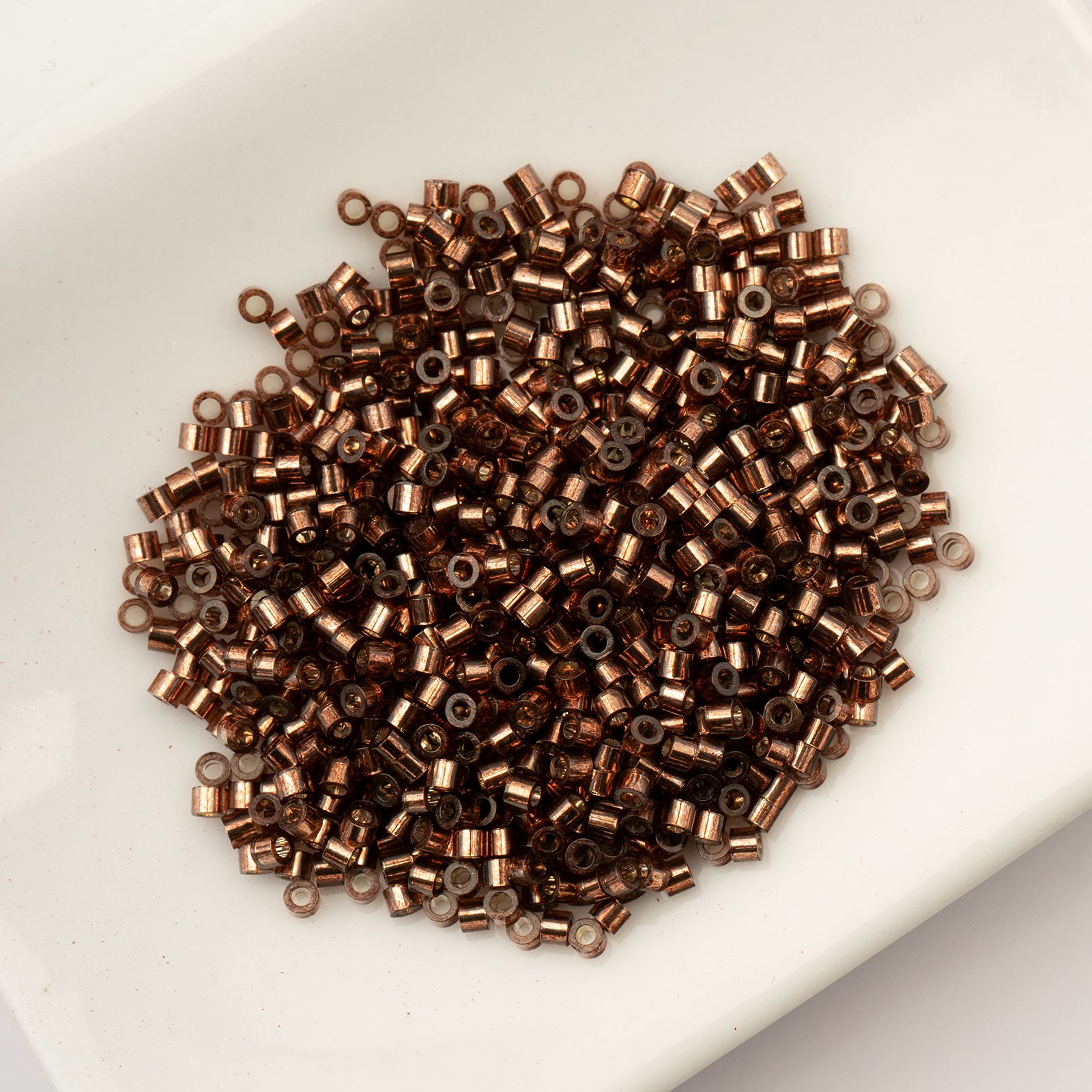 CY11 SL Brown S/L 1020