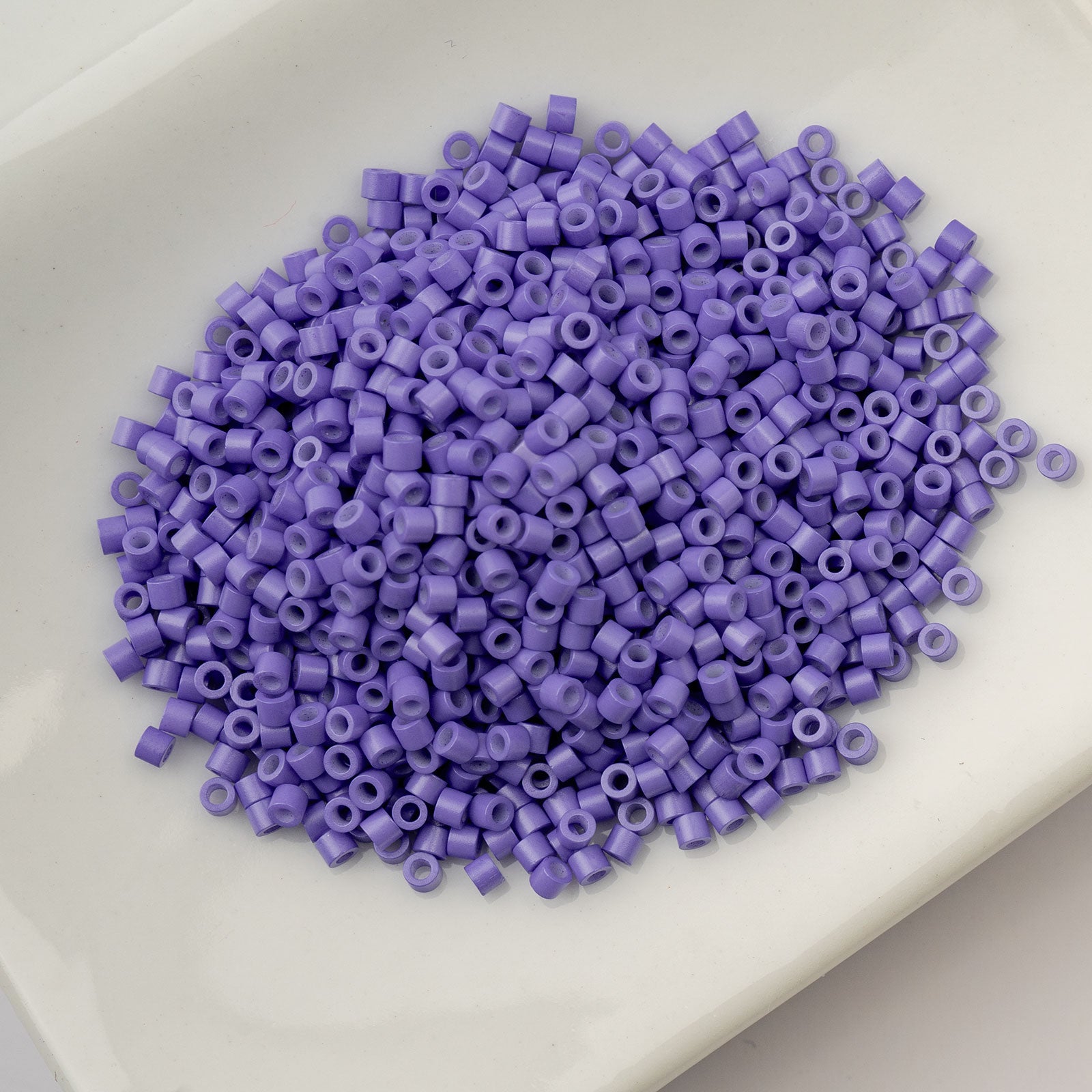 CY11 OP Dusky Wisteria 1051