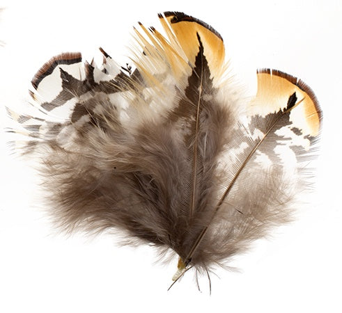 FEA Pheasant Feathers - 1