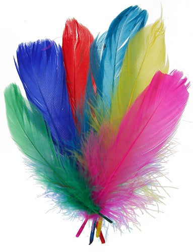 FEA Goose Feathers 6g
