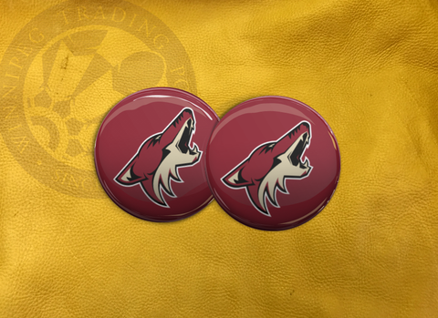 ECAB SP - NHL Arizona Coyotes
