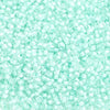 SB10 CL Light Mint Terra Colour 42034