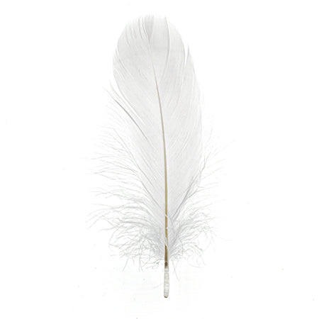 Buy white-300300h FEA Goose Feathers 6g