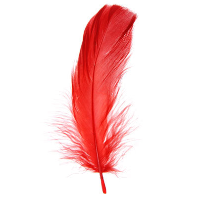 Buy red-300302h FEA Goose Feathers 6g