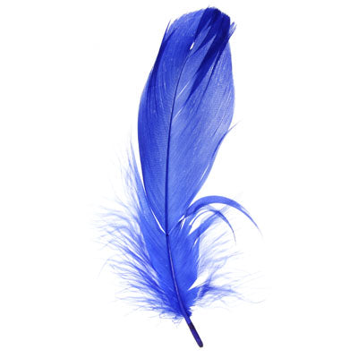 Buy blue-300303h FEA Goose Feathers 6g