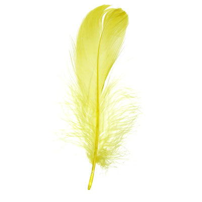 Buy yellow-300304h FEA Goose Feathers 6g