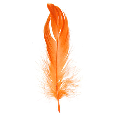 Buy orange-300305h FEA Goose Feathers 6g