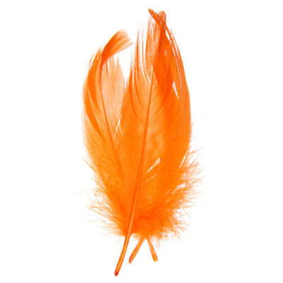 FEA Goose Feathers 6g - 7