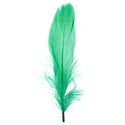 FEA Goose Feathers 6g - 10