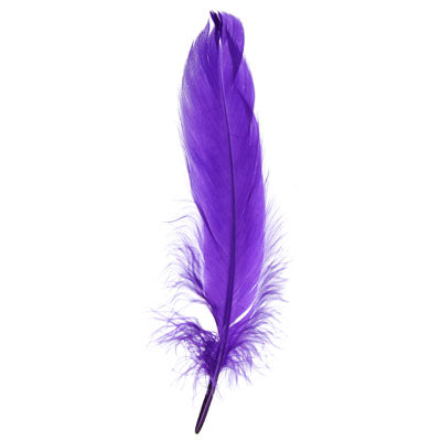 FEA Goose Feathers 6g - 11