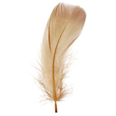 Buy brown-300309h FEA Goose Feathers 6g
