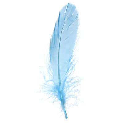 Buy turquoise-300310h FEA Goose Feathers 6g