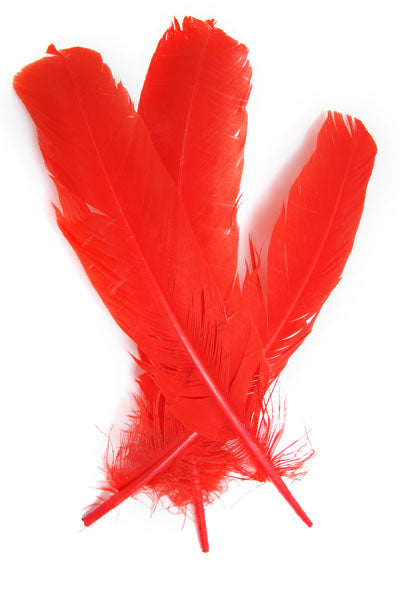 Buy red FEA Turkey Quill 12 inch