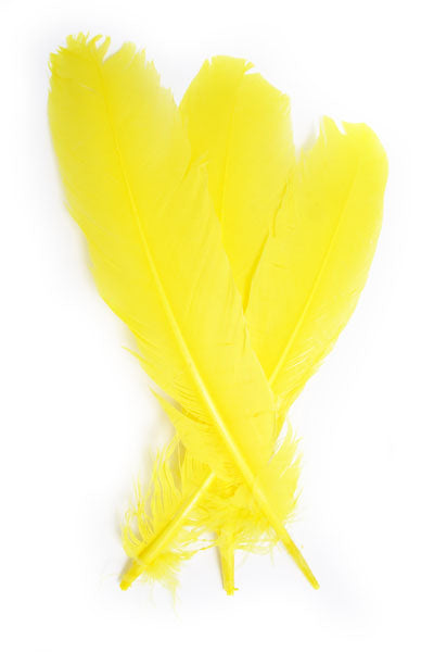 Buy yellow FEA Turkey Quill 12 inch