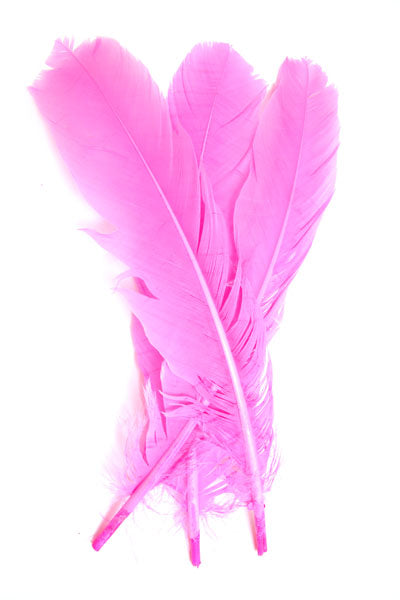 Buy pink FEA Turkey Quill 12 inch