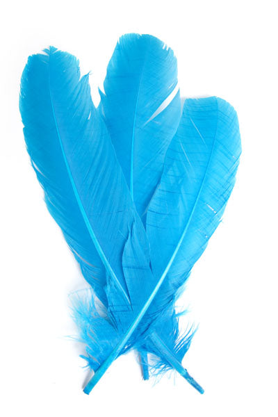 Buy turquoise FEA Turkey Quill 12 inch