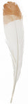 FEA Simulated Eagle Feathers 6pk.  Brown or Black Tip