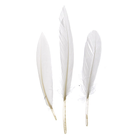 Buy white-300600h FEA Duck Feathers