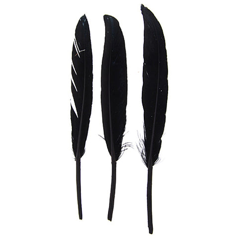 Buy black-300601h FEA Duck Feathers