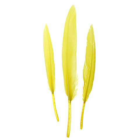 Buy yellow-300604h FEA Duck Feathers