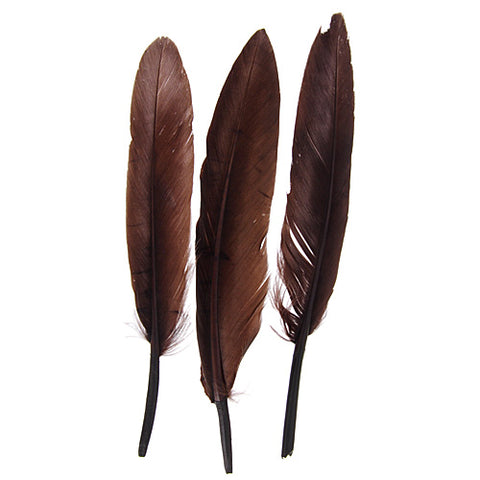 Buy brown-300609h FEA Duck Feathers