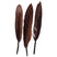 Brown 300609H