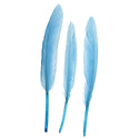 FEA Duck Feathers - 7