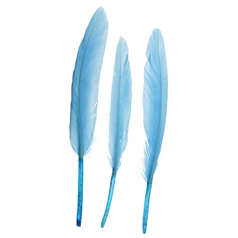 Buy turquoise-300610h FEA Duck Feathers