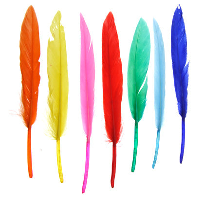 FEA Duck Feathers