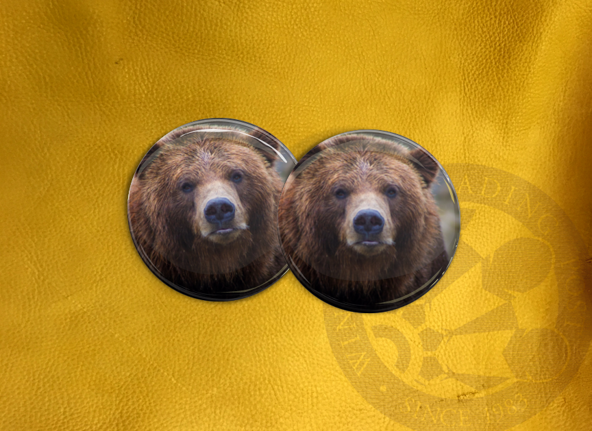 ECAB AN - Bear 15676