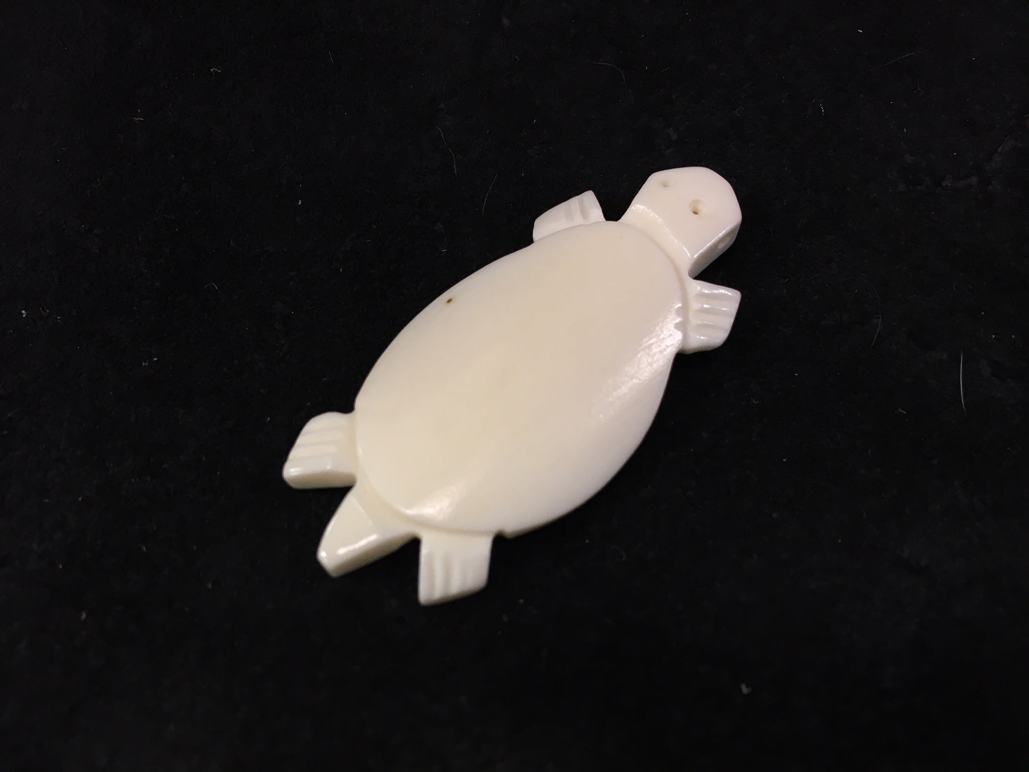 Bone Turtle