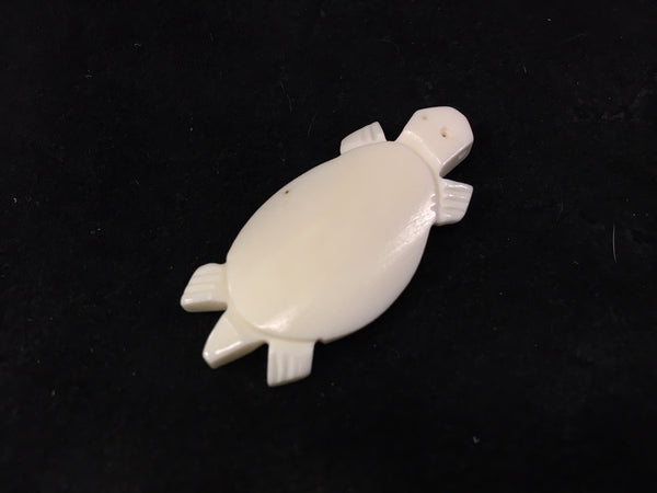 Bone Turtle - 2