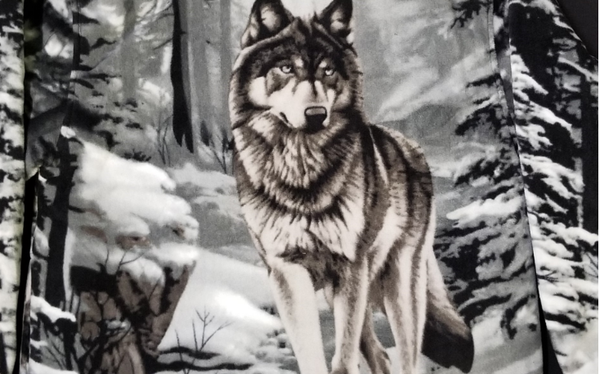 Wolf 2025 fleece hoodie