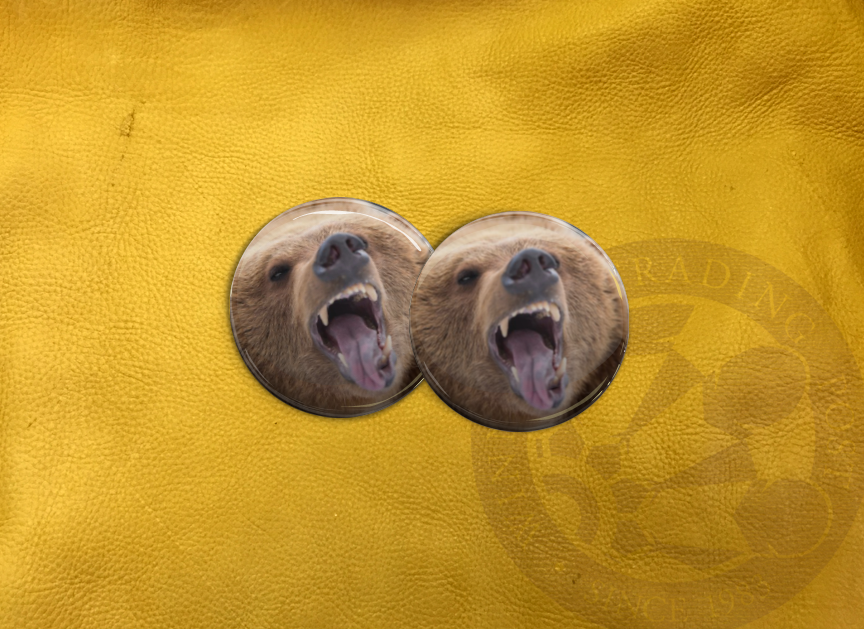 ECAB AN - Bear 15655