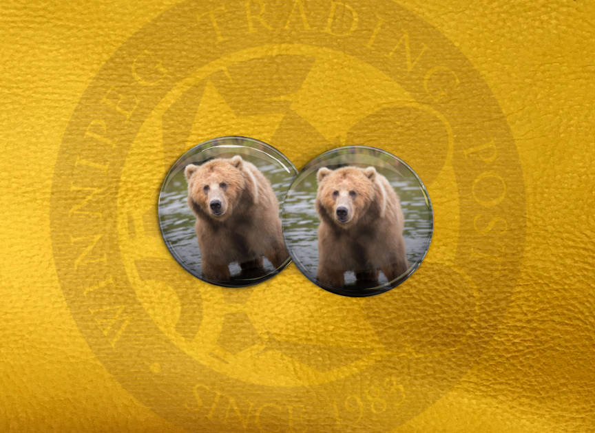 ECAB AN - Bear 15662