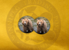 ECAB AN - Bear 15662