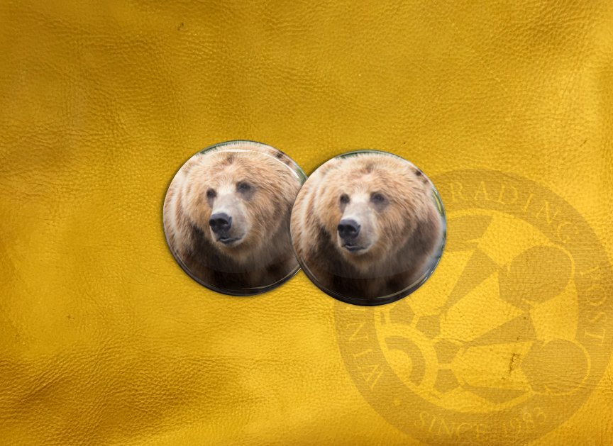ECAB AN - Bear 15669