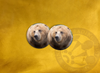 ECAB AN - Bear 15669