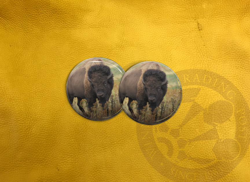 ECAB AN - Bison 15552