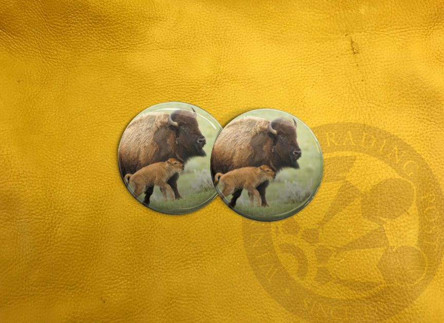 ECAB AN - Bison 15559