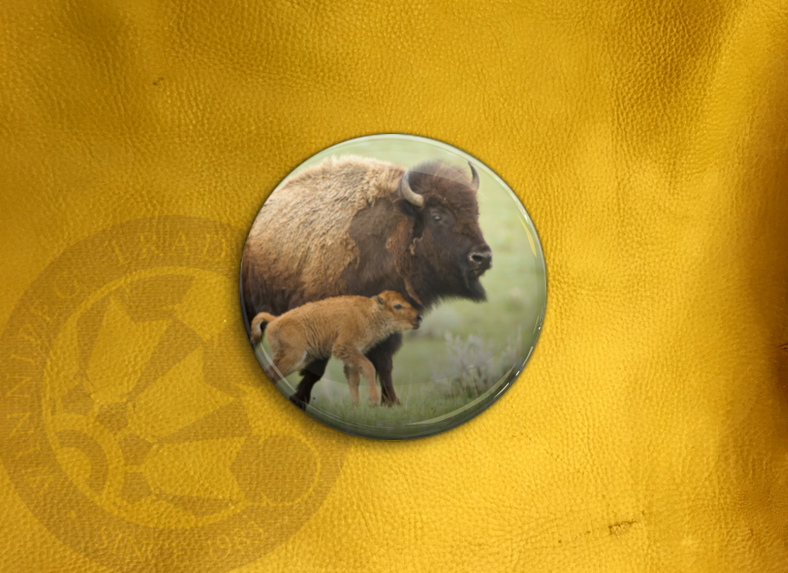 Winnipeg Trading Post