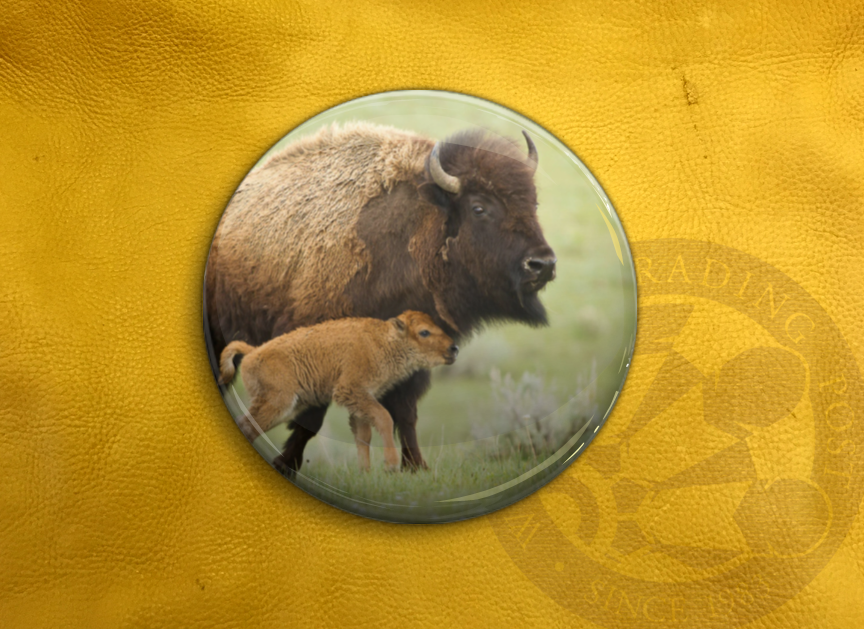 Winnipeg Trading Post