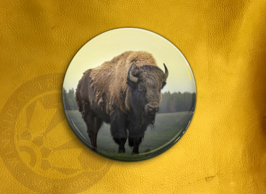 Winnipeg Trading Post