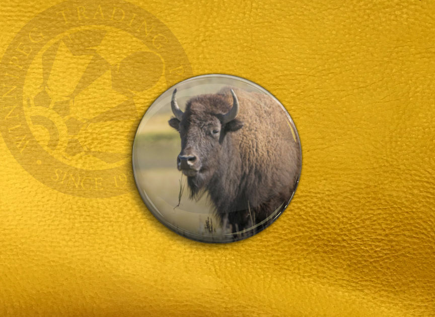 Winnipeg Trading Post